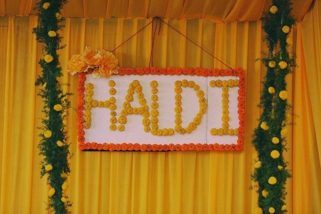 your choice event planner bhopal (13)